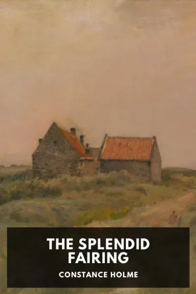 The Splendid Fairing cover