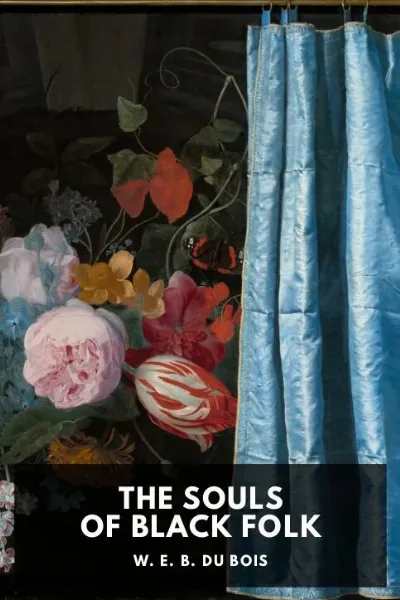 The Souls of Black Folk — W. E. B. Du Bois cover