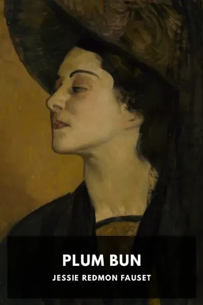 Plum Bun — Jessie Redmon Fauset cover