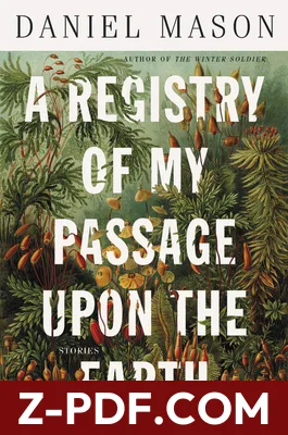 A Registry of My Passage Upon the Earth: Stories by Daniel Mason book cover
